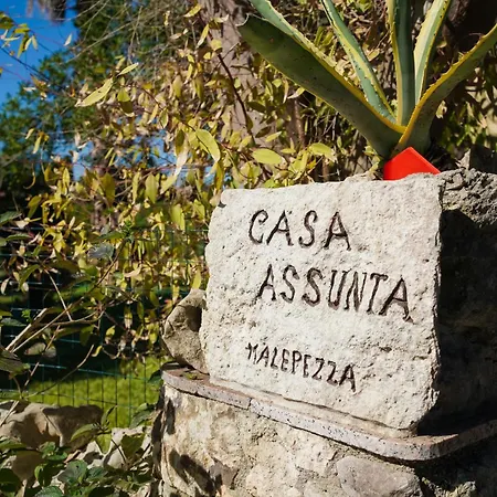 Casa Assunta * מלנדוניו